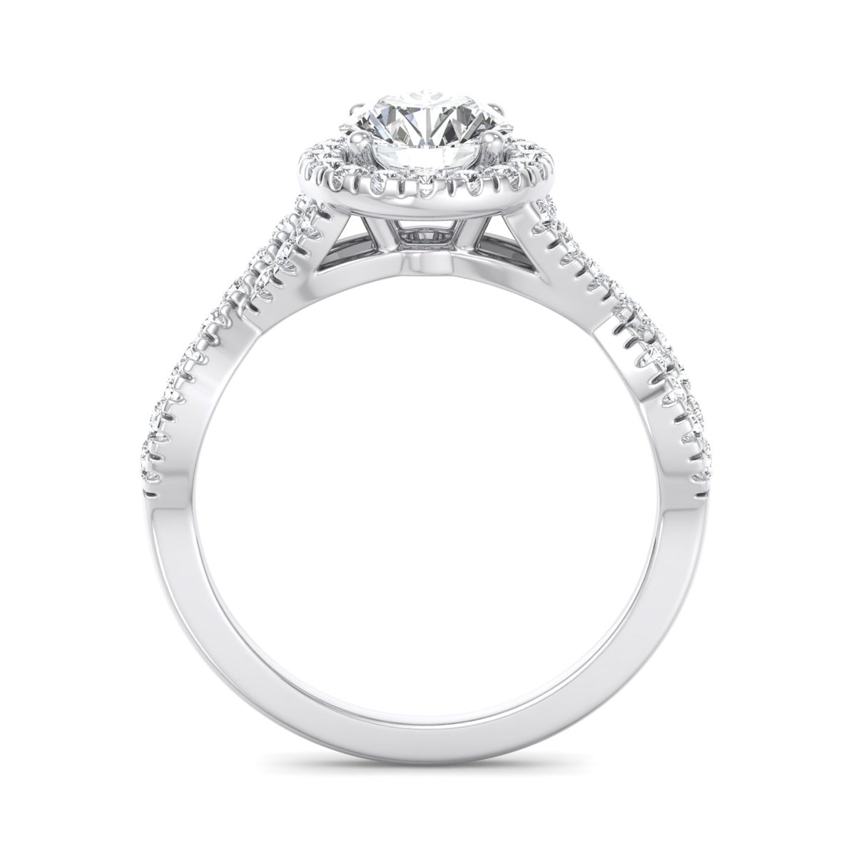 Brisenne Twisted Halo Engagement Ring in white gold with a round center stone, front view